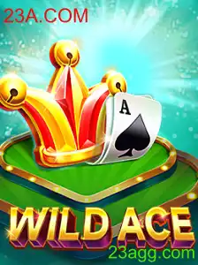Explorando o Universo de WildAce: Regras e Inovação no Jogo do Ano